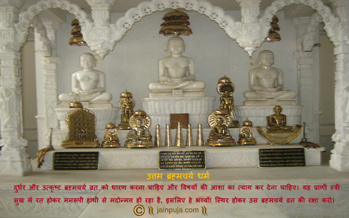Uttam Brahmcharya Dharm Cards